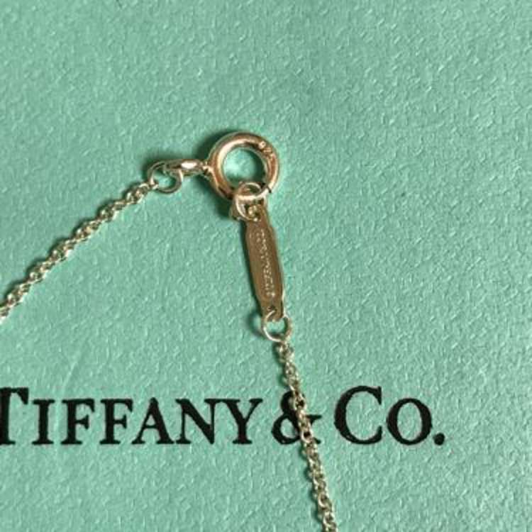 tiffany & co.蒂芙尼1837系列双环项链