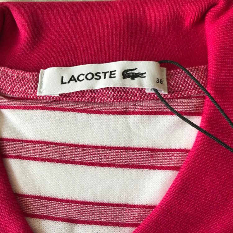 lacoste 鳄鱼t恤