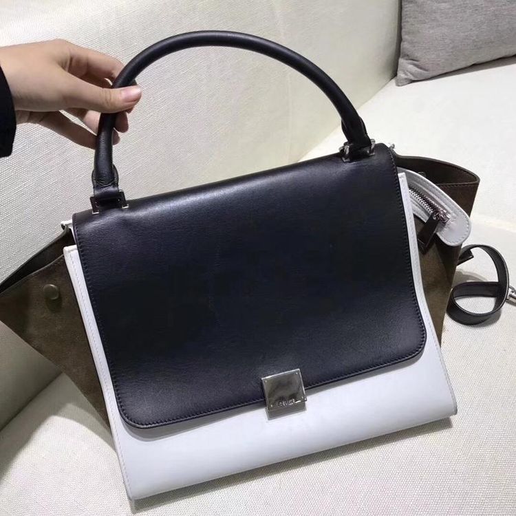 celine 赛琳中号秋千包