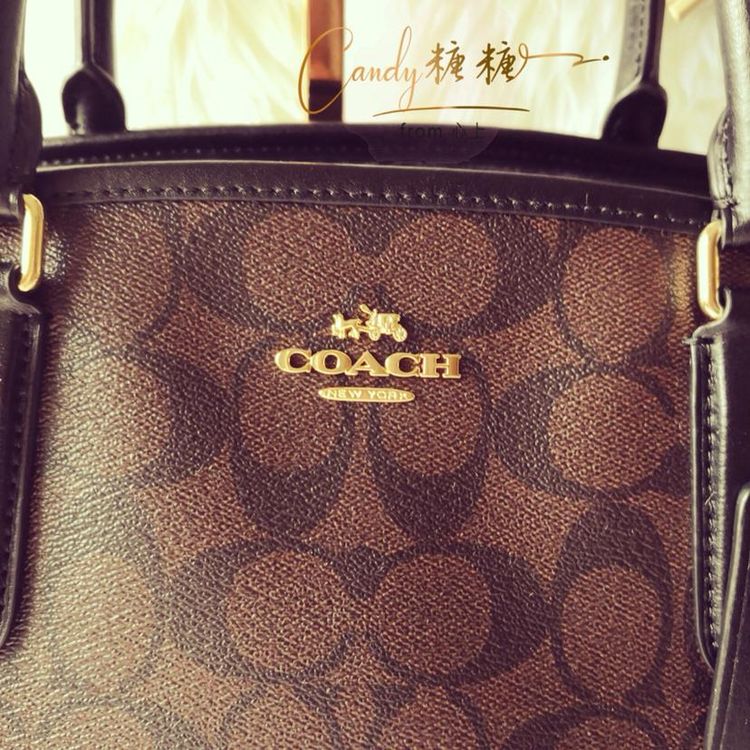 coach 蔻驰咖啡logo戴妃包