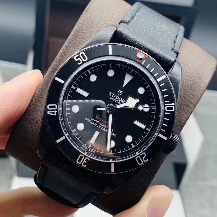 tudor 帝舵碧湾系列m79230dk-0014自动机械表