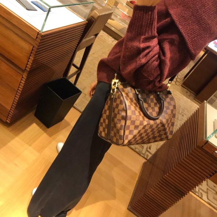 louis vuitton 路易·威登speedy25棋盘格肩带款枕头包