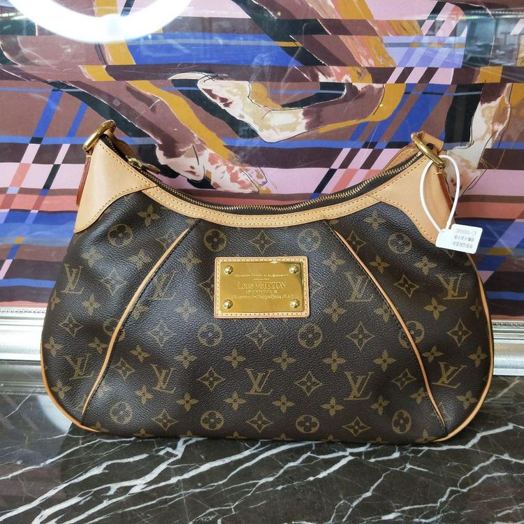 louis vuitton 路易·威登经典老花南瓜包