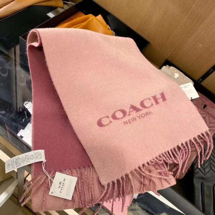 coach蔻驰女士围巾_【未使用】新_750元_180*31码-心上